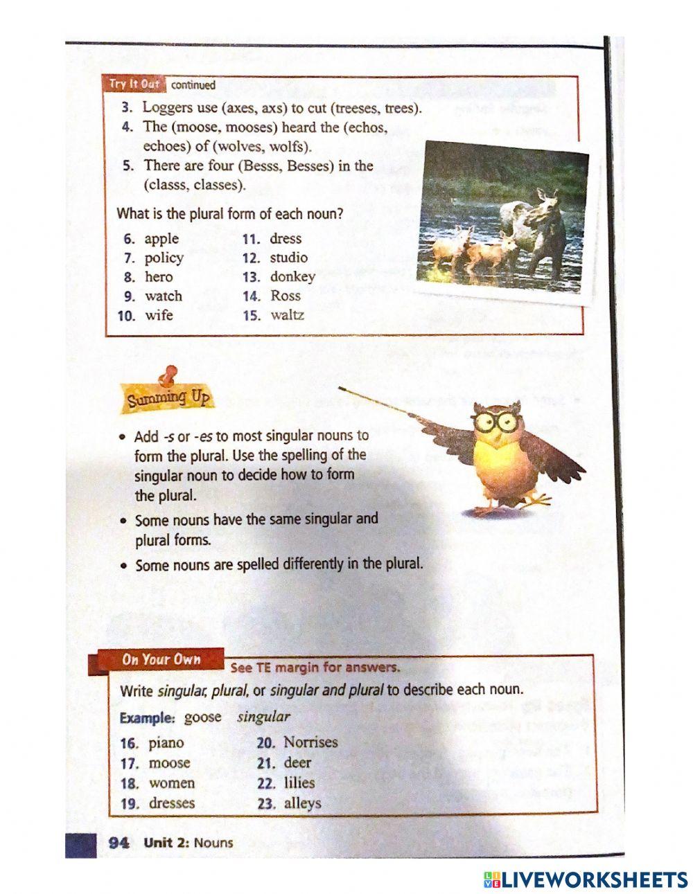 Singular and Plural Nouns grade 6