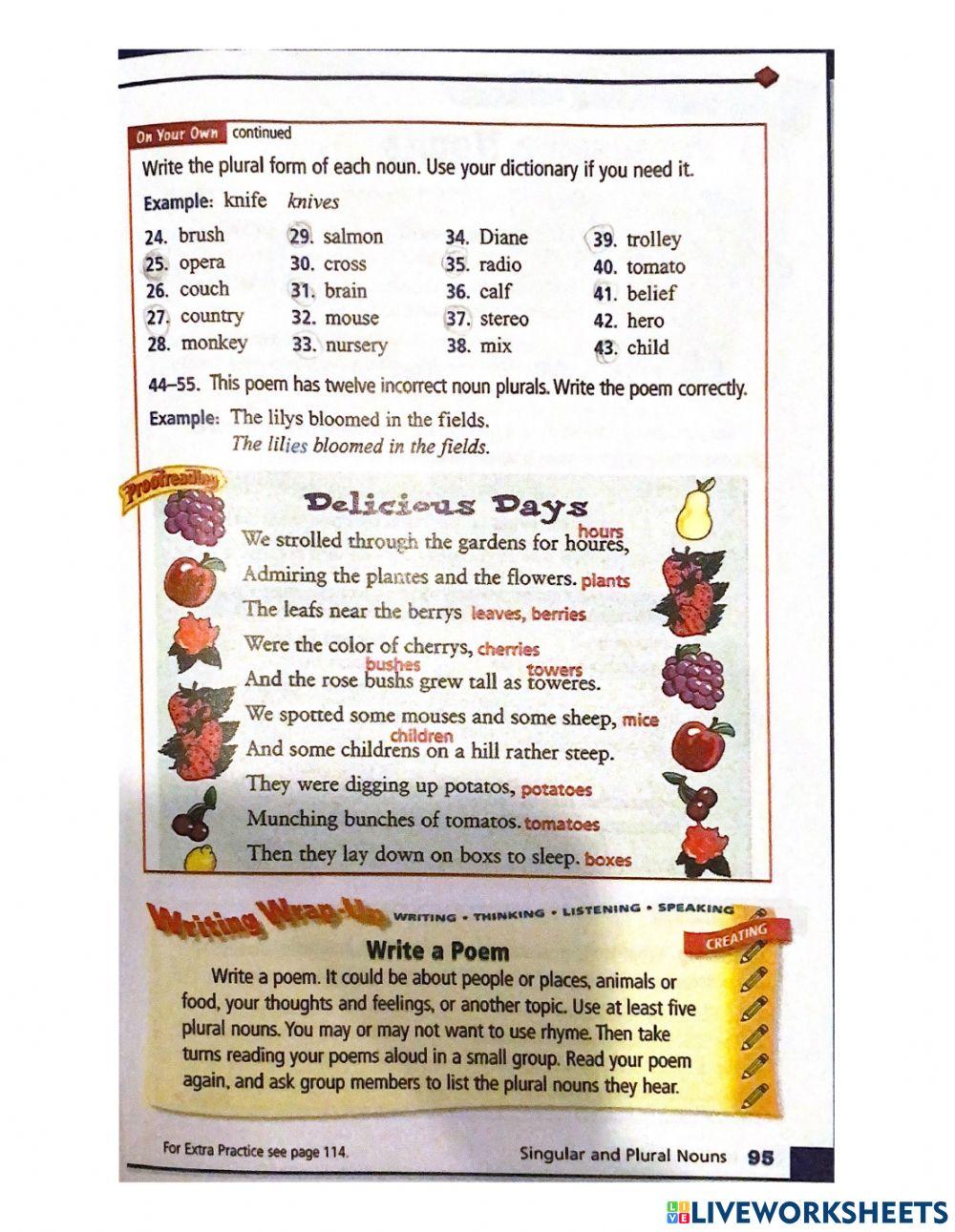 Singular and Plural Nouns grade 6