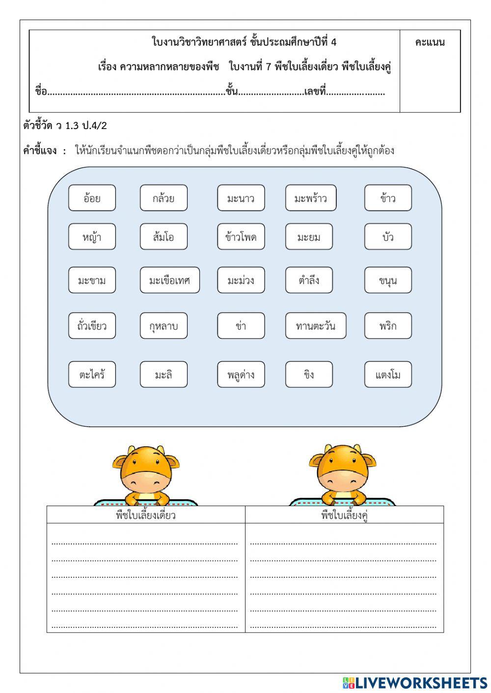 ความหลากหลายของพืช