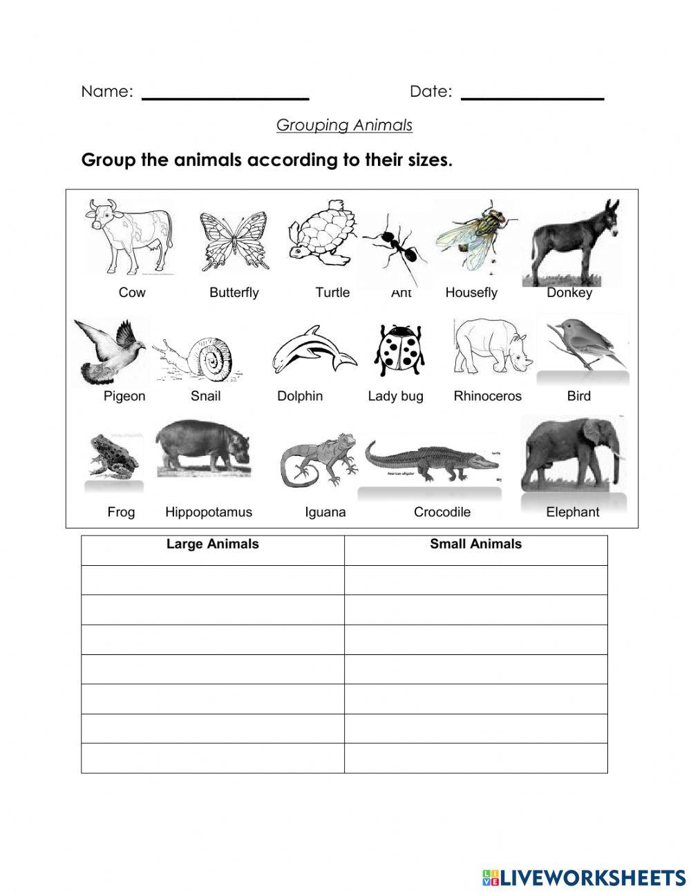 SBE REVISION  WORKSHEET YEAR 3