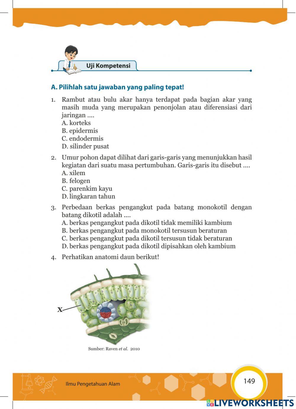 Tugas Struktur Pada Tumbuhan