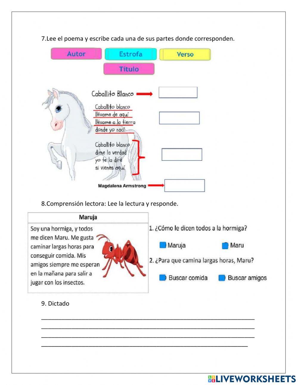 Acumulativo español primero 1°