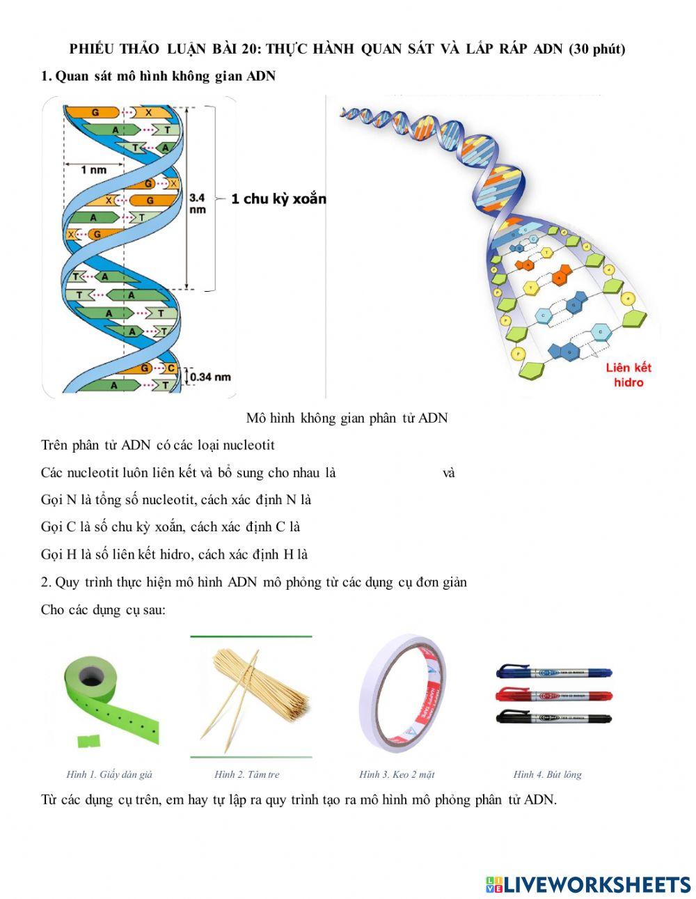 Bài 20-sinh học 9