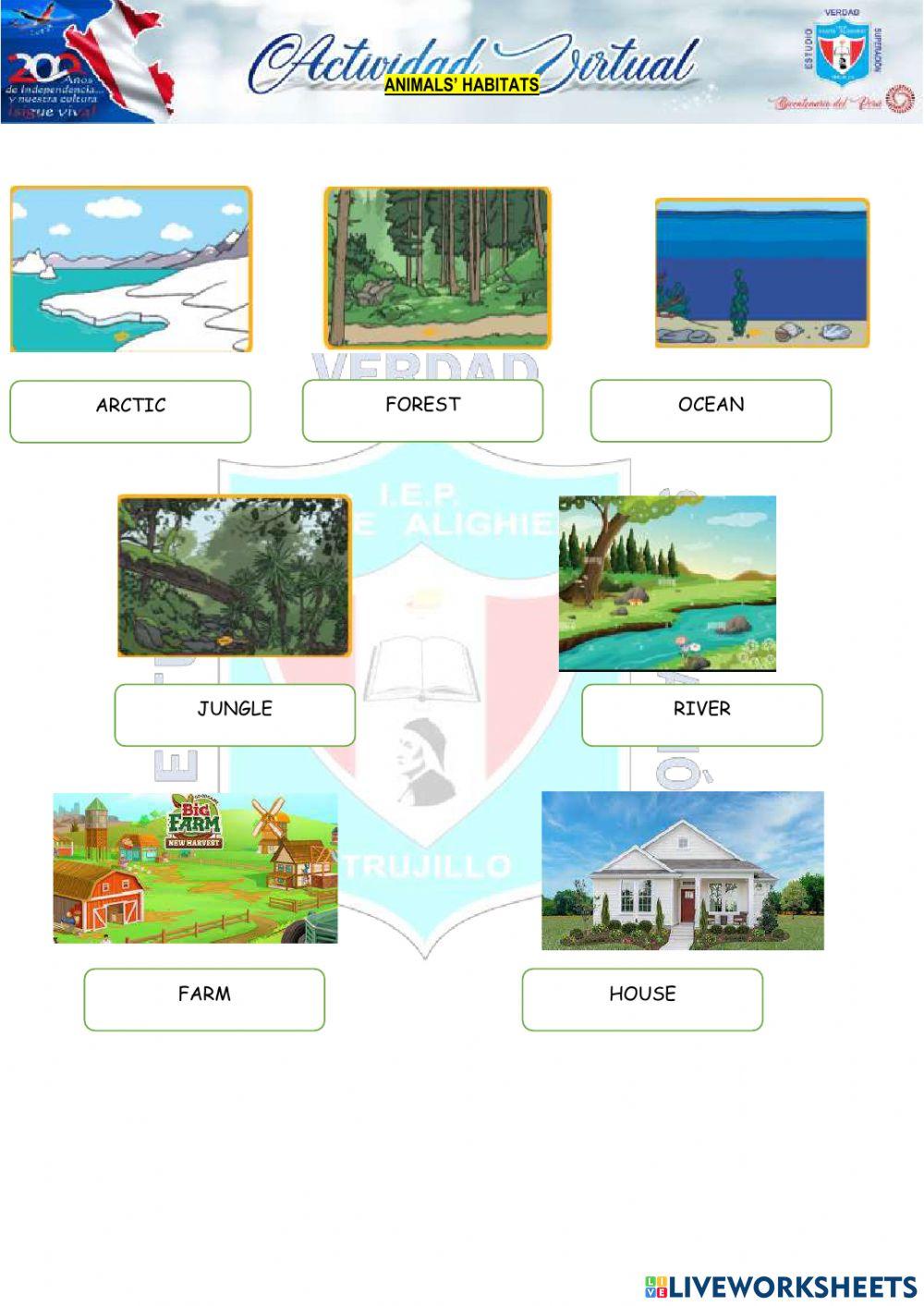 Talking about animals-2do