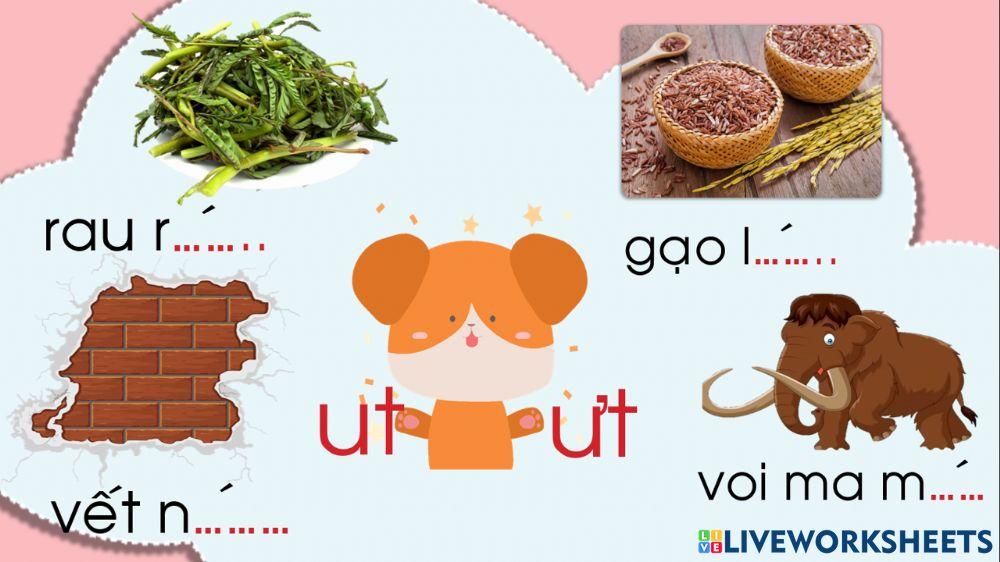 HĐ Luyện đọc từ Bài 4