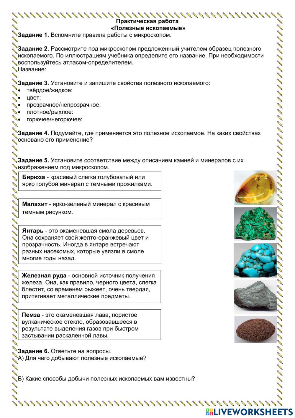 Окружающий мир начальная школа worksheet | Live Worksheets