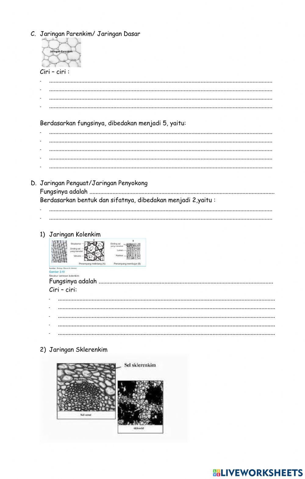 Struktur dan fungsi tubuh tumbuhan