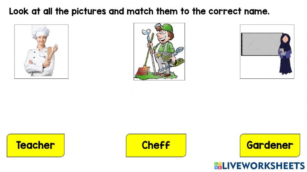 Occupation, workplace & duties