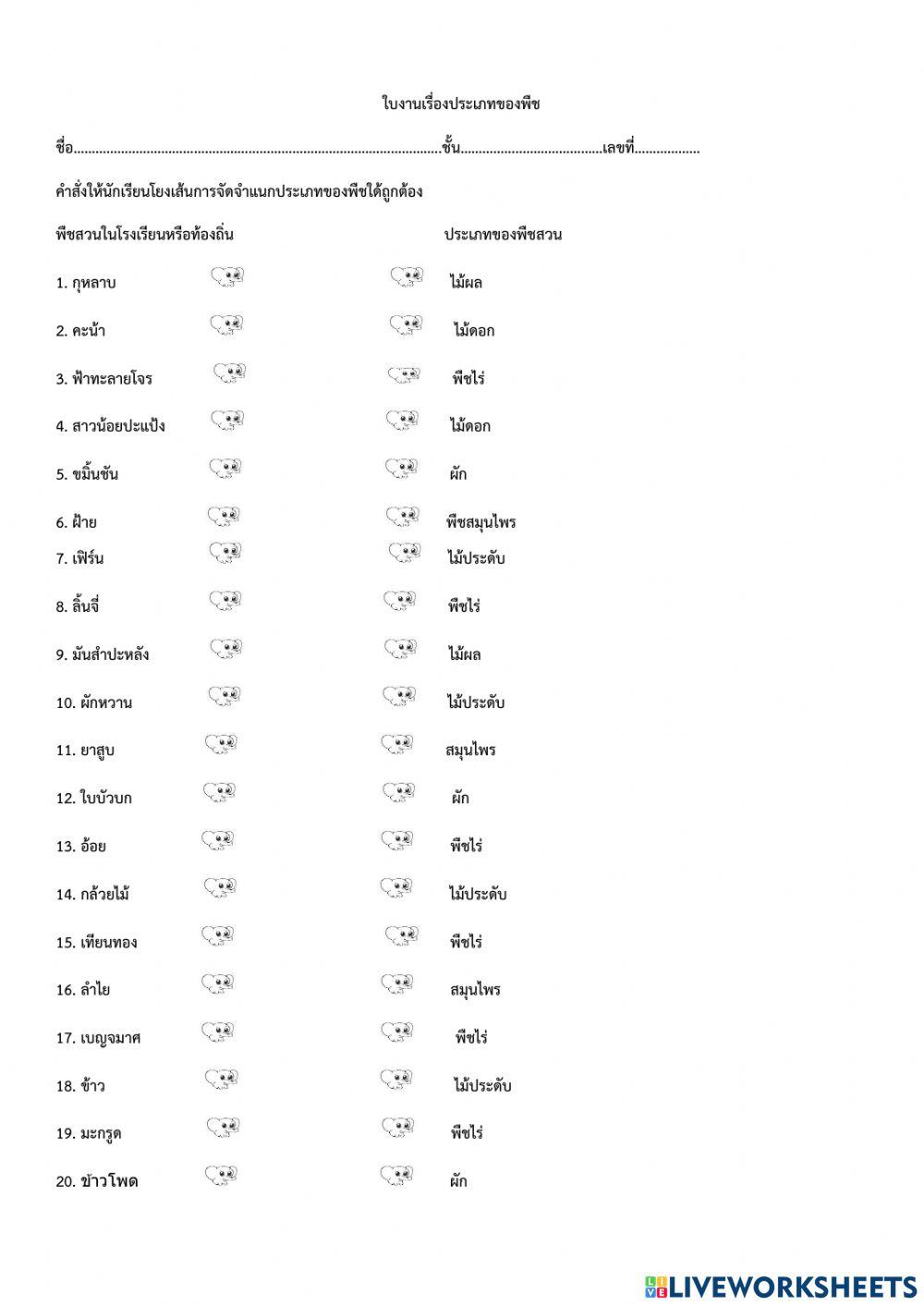 จัดจำแนกประเภทของพืช