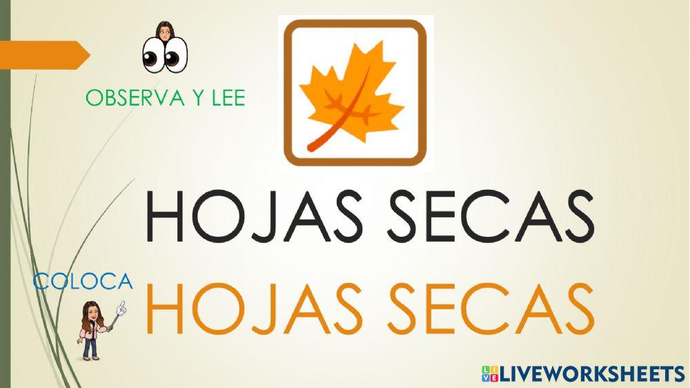 LECTURA GLOBAL OTOÑO 1