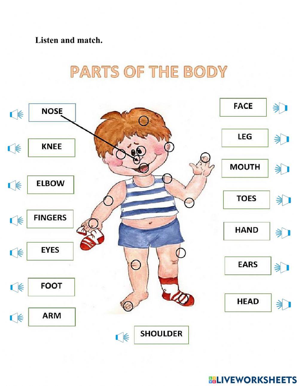 Body part