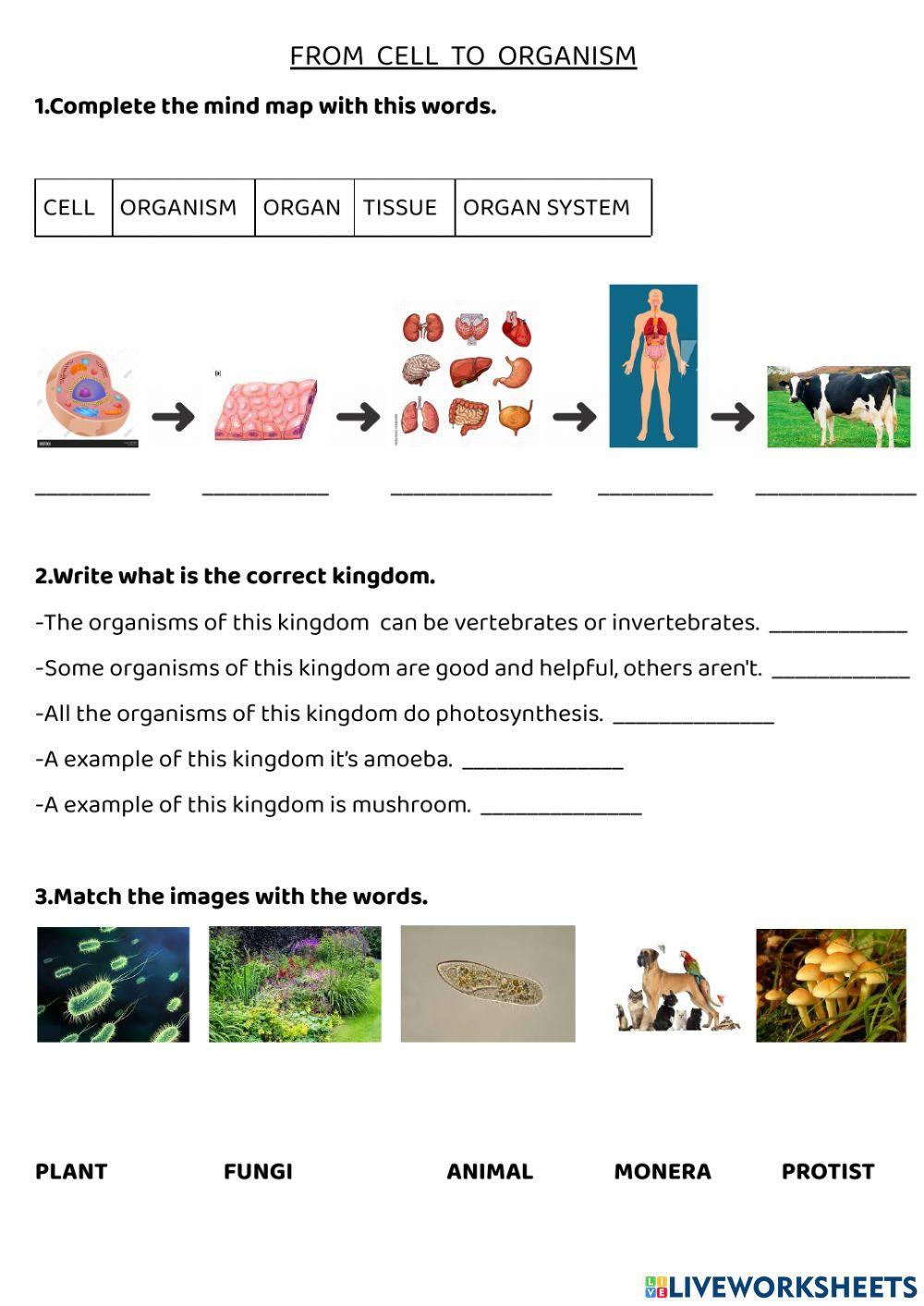 From cell to organism - 5 kingdoms of living things