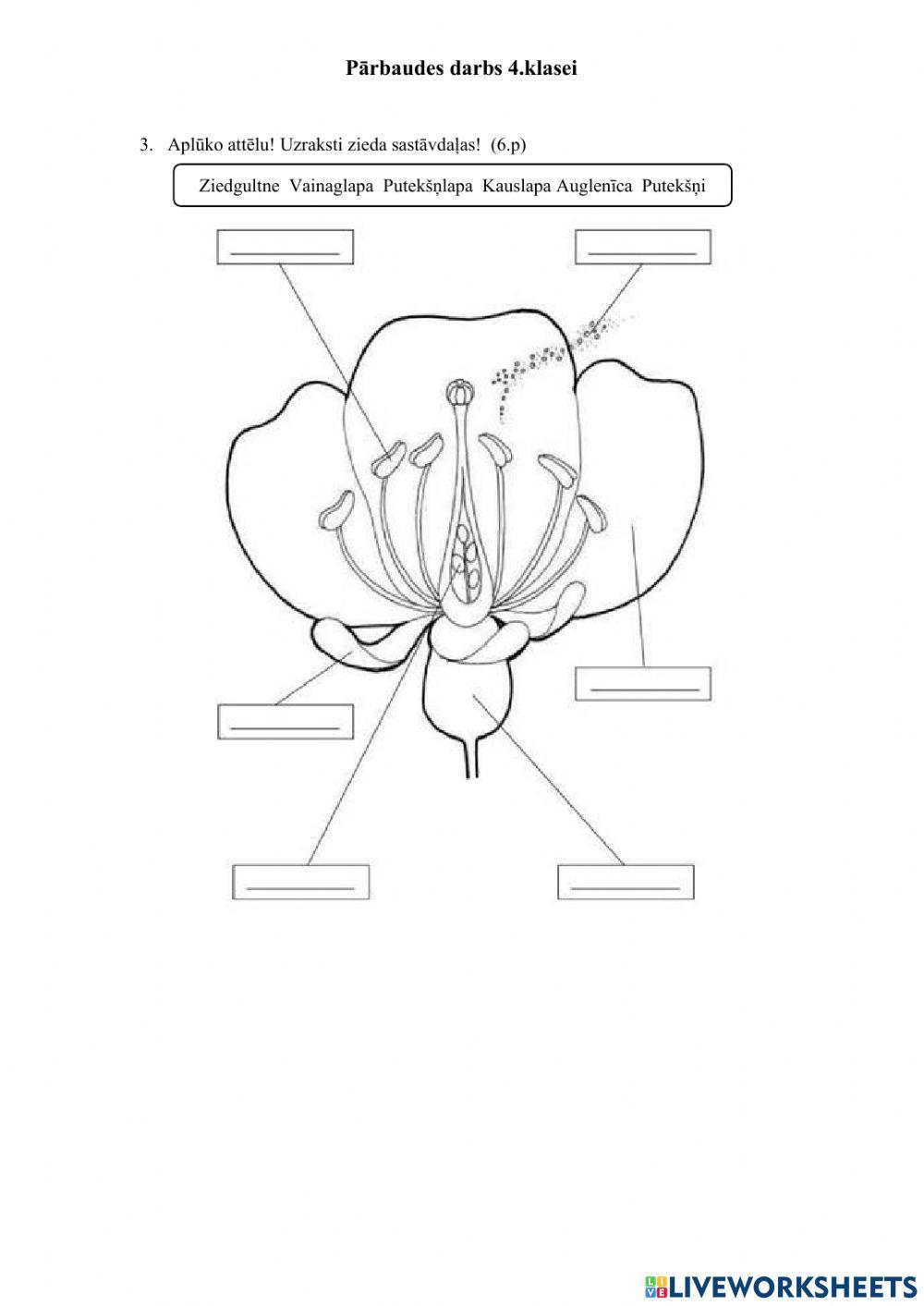 Dzīvo organismu vairošanās, augšana un attīstība I daļa.