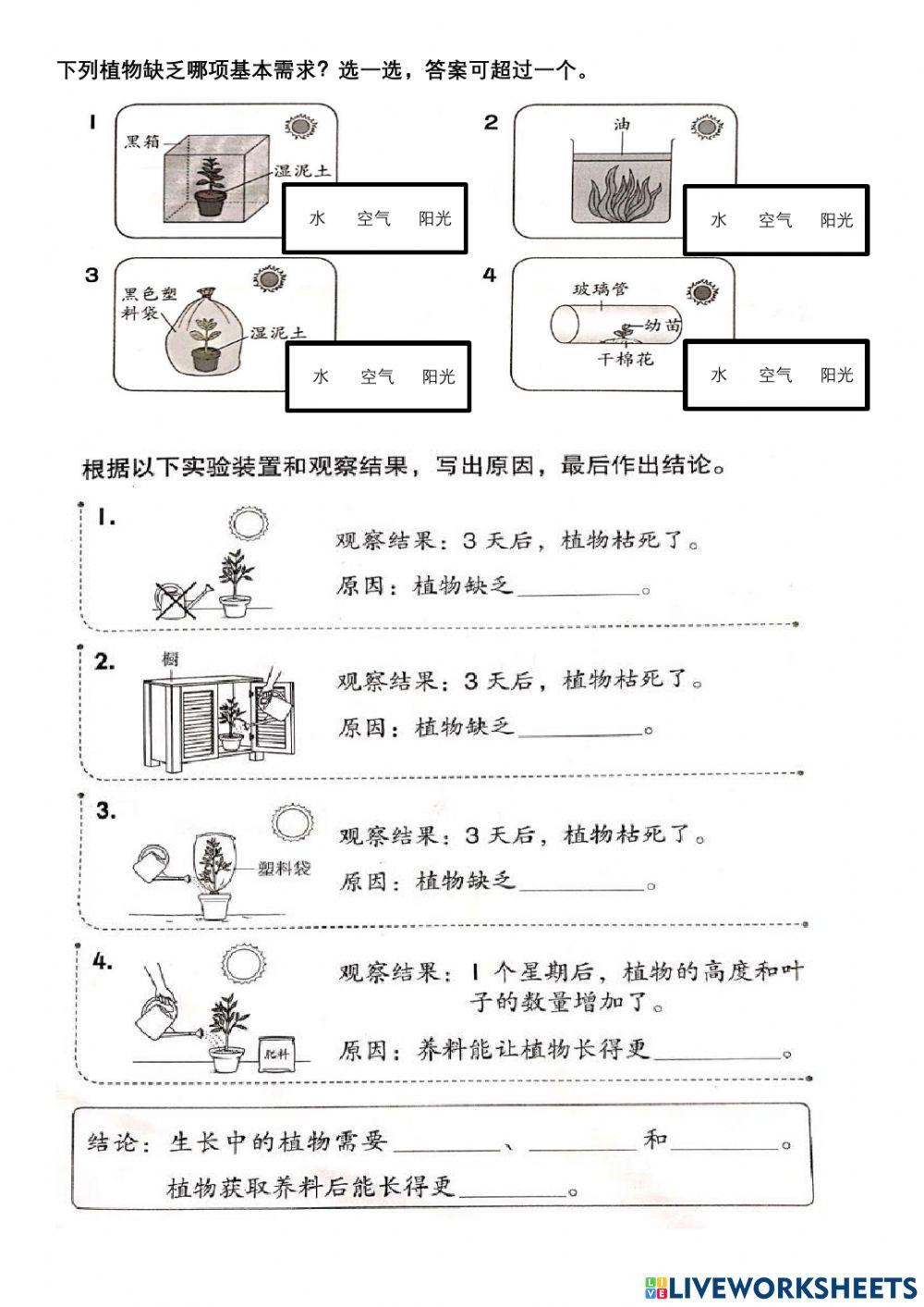 植物的生长需求