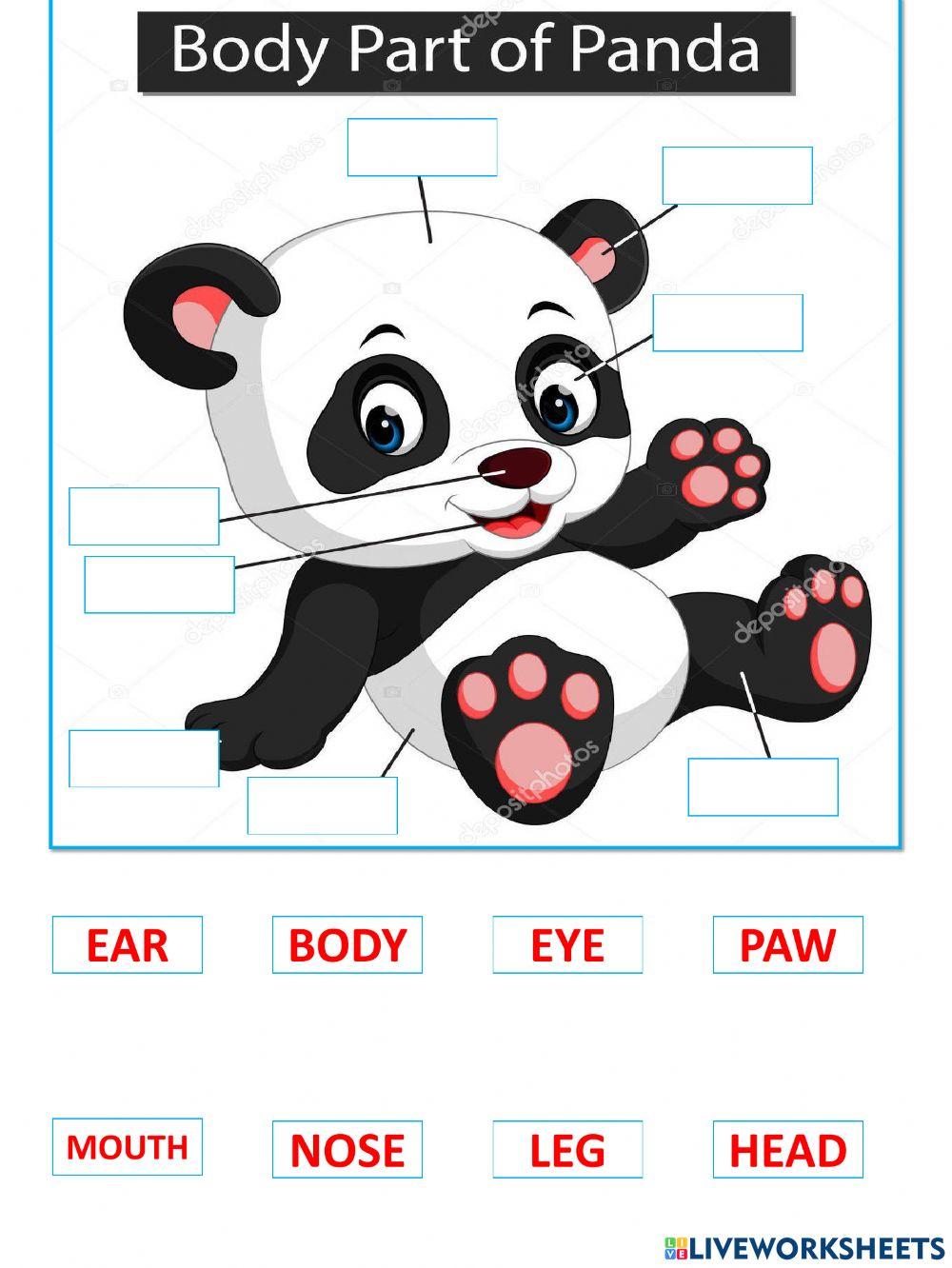 Body parts panda