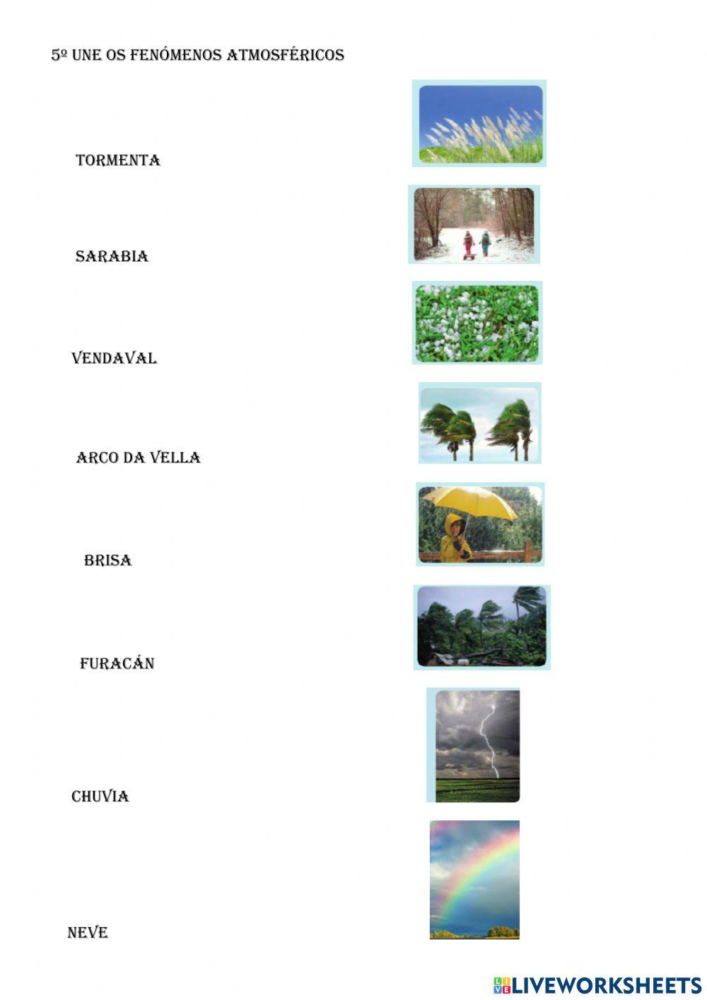 FICHA  REPASO SOCIAIS