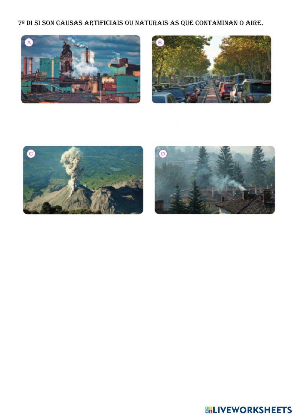 FICHA  REPASO SOCIAIS