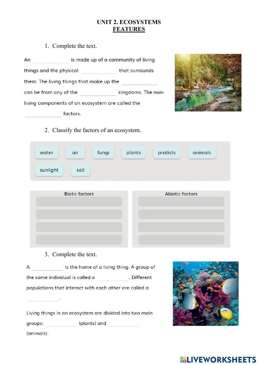 2.1 Ecosystems. Features
