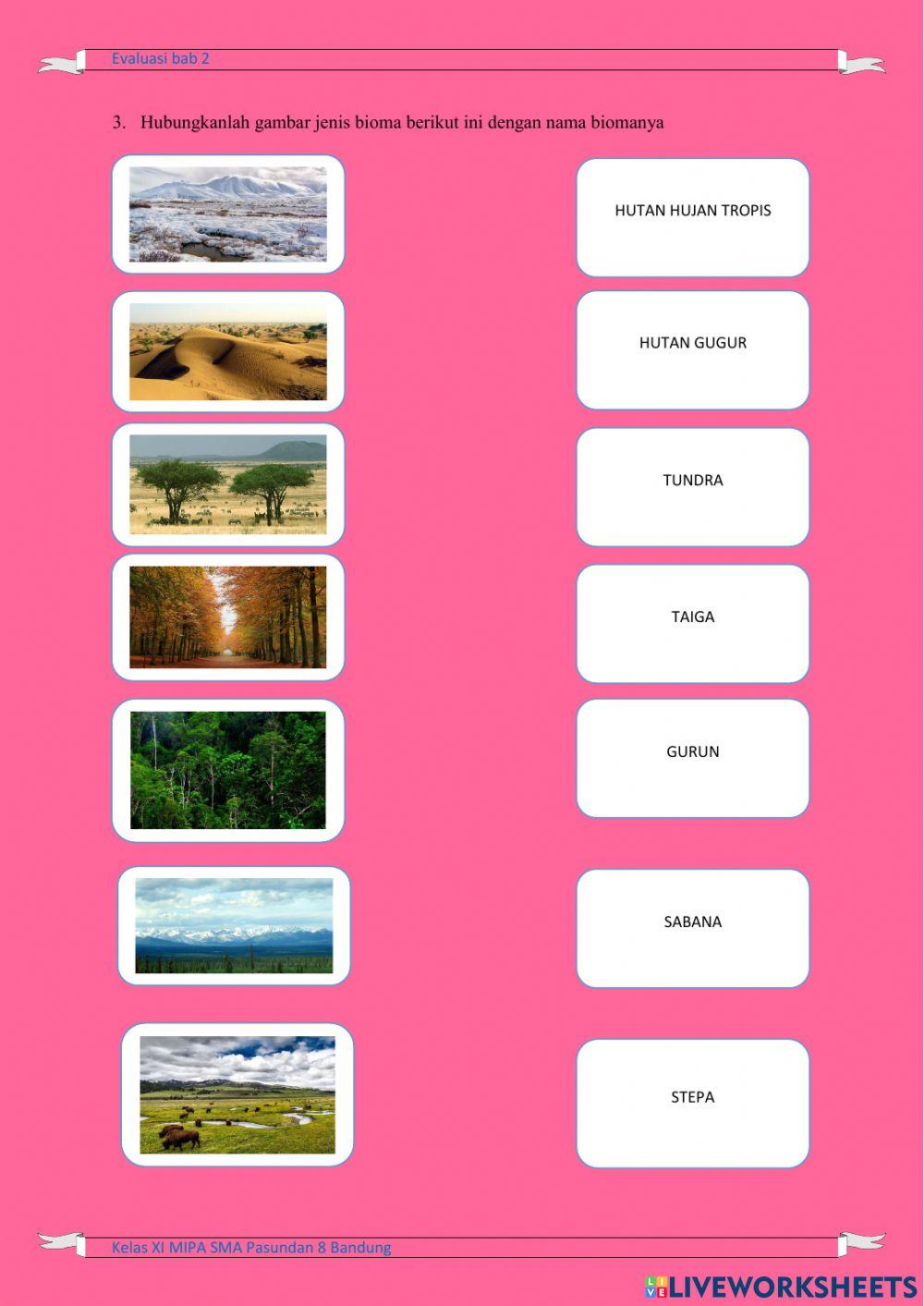 Evaluasi Bab 2  Flora dan fauna