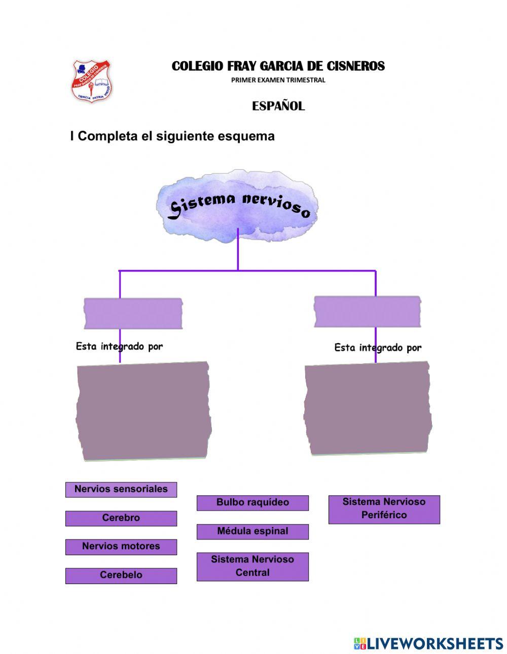 Primer examen trimestral de Ciencias