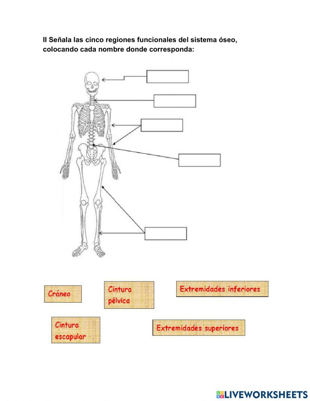 Primer examen trimestral de Ciencias