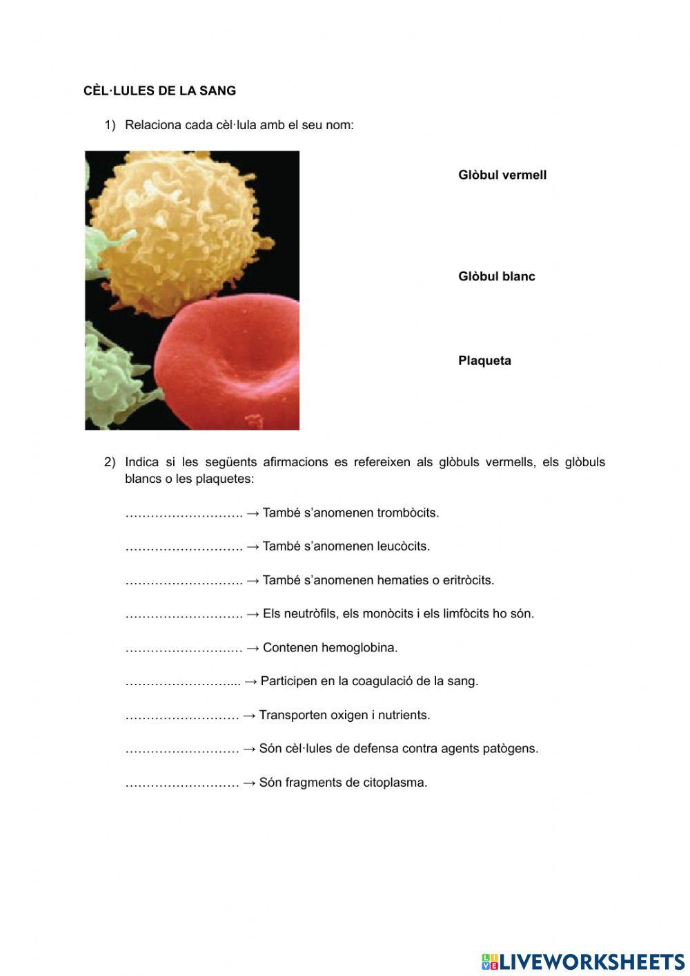 Cèl·lules de la sang