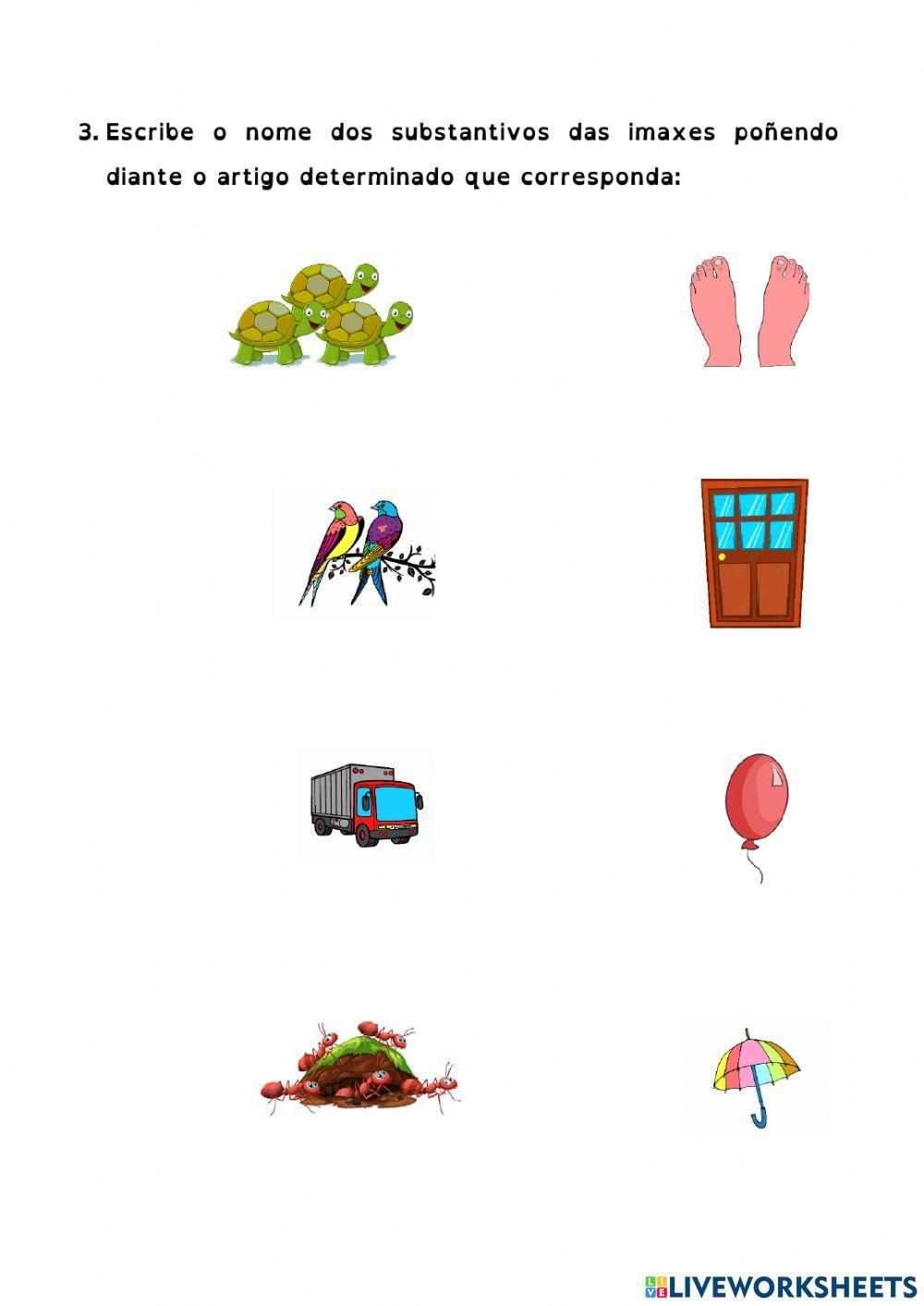 Os artigos determinados