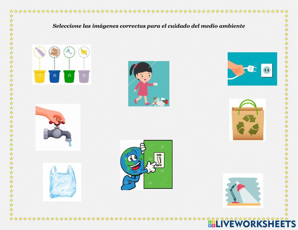 Cuidado del medio ambiente