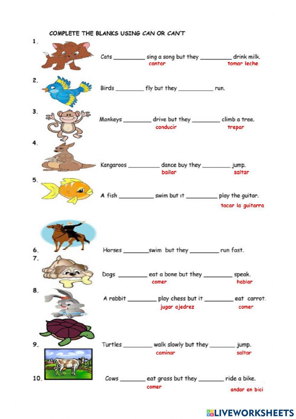 Complete the sentences with CAN or CAN'T