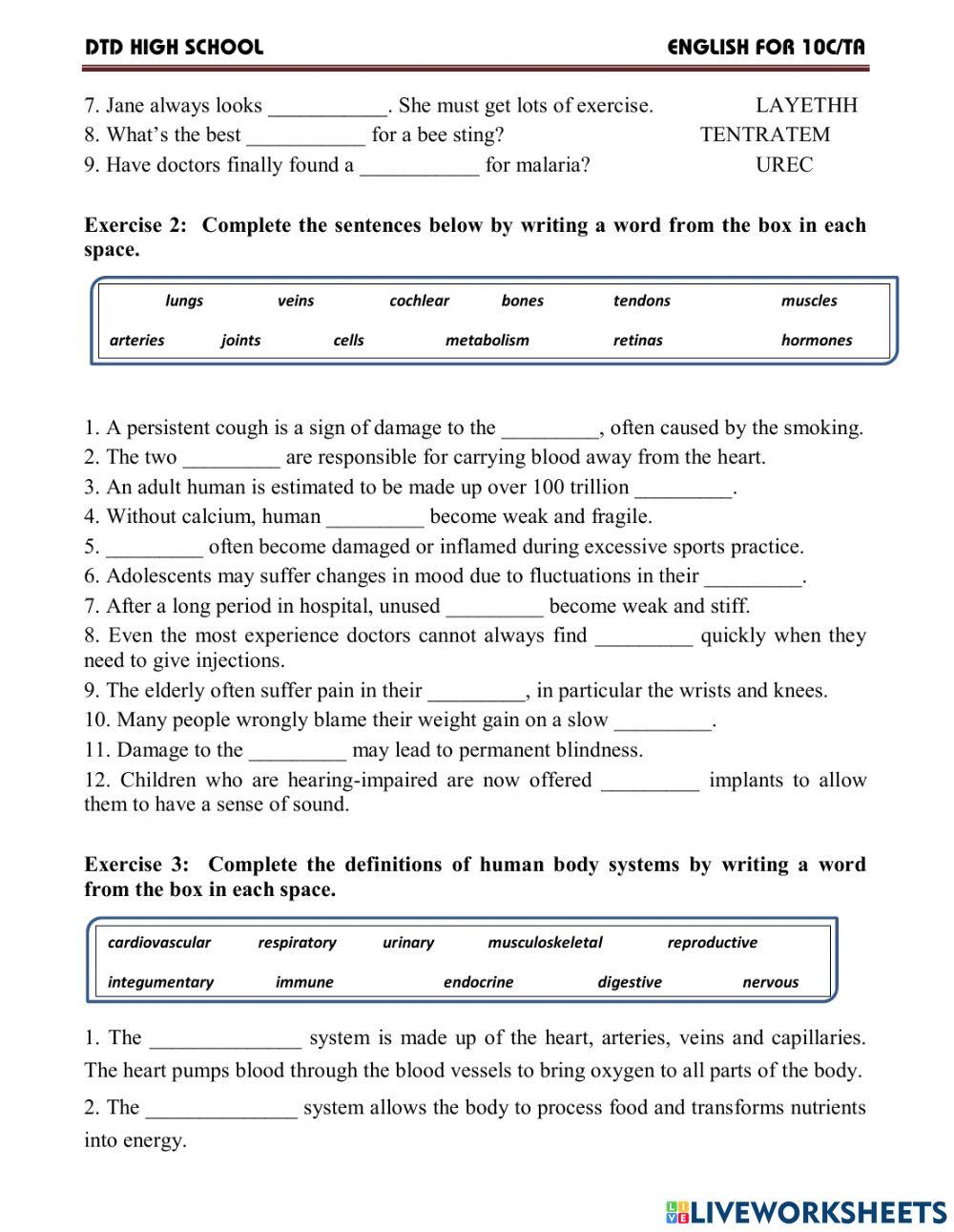 Vocab module 2 - your body & you