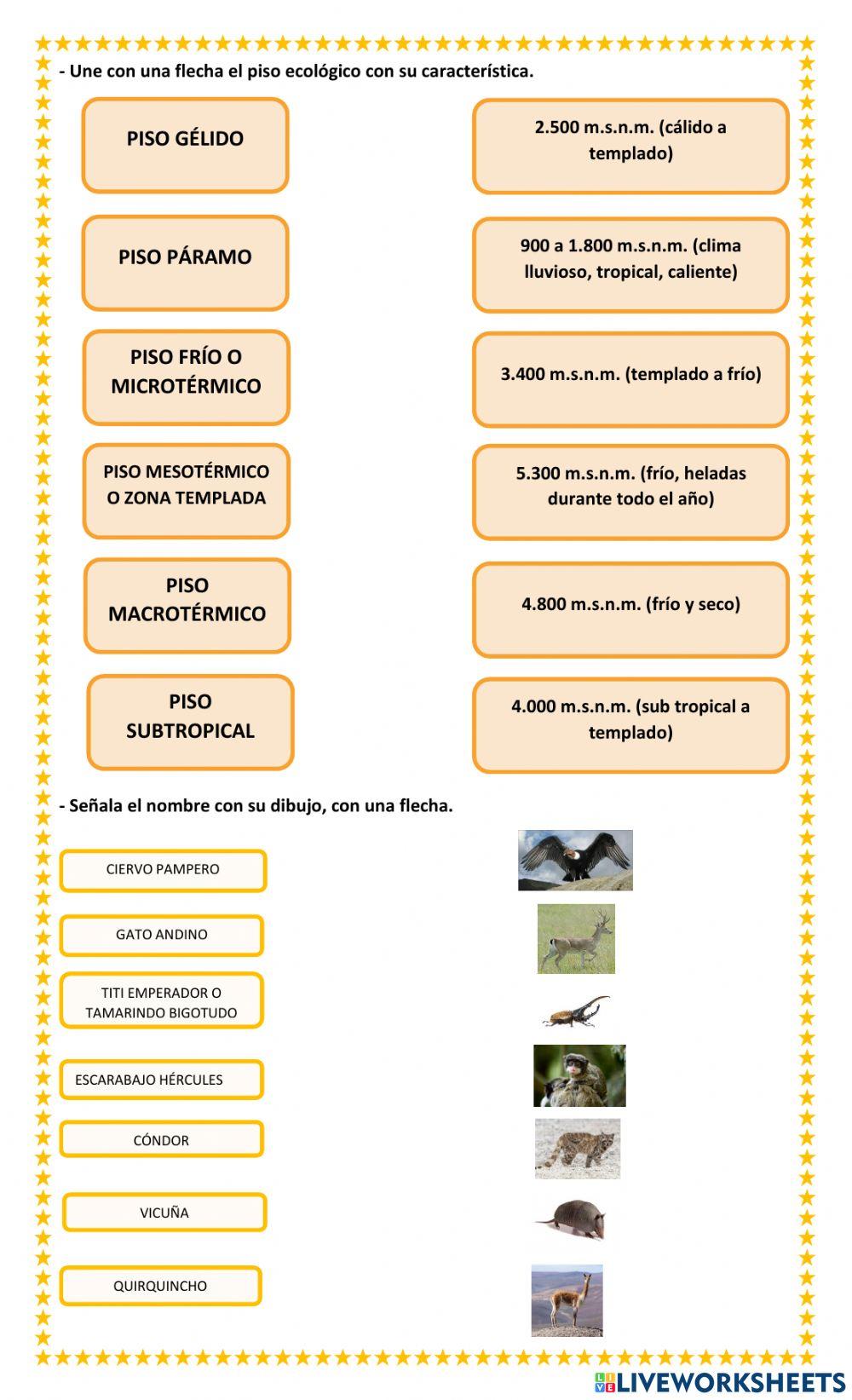 La biodiversidad de Bolivia