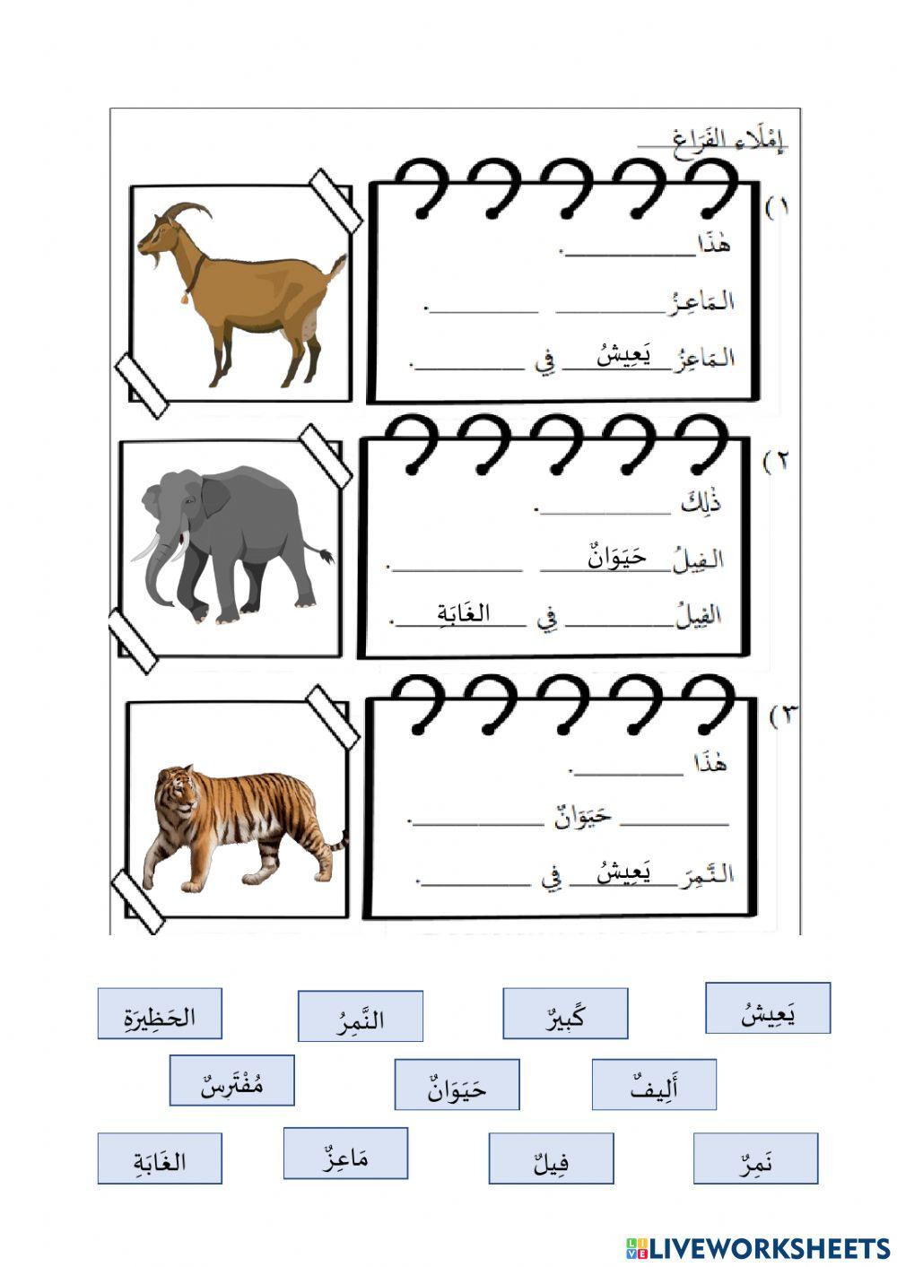 رفقا بالحيوانات