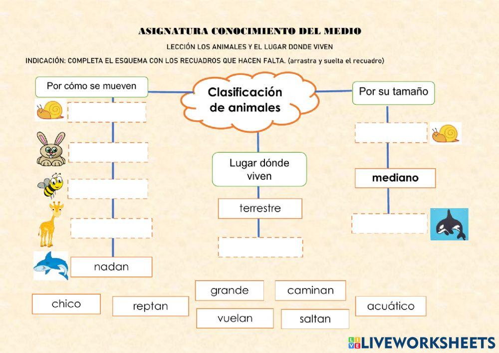 Clasificación de animales