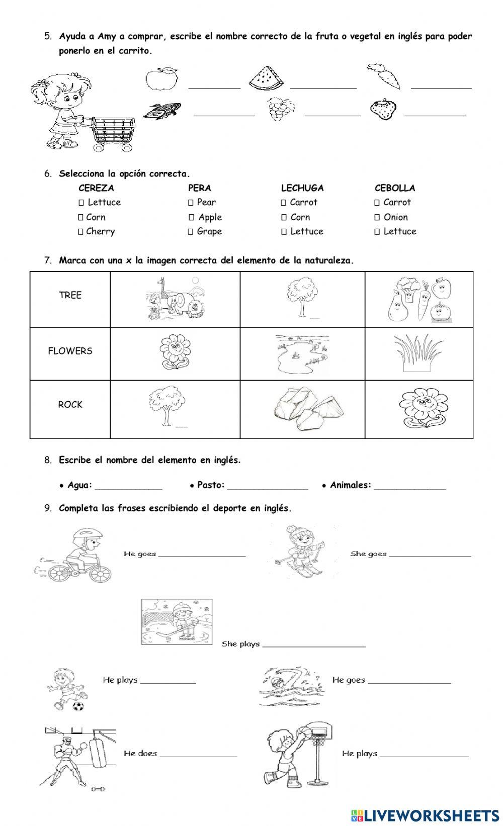 Evaluacion bimestral de ingles grado 1º