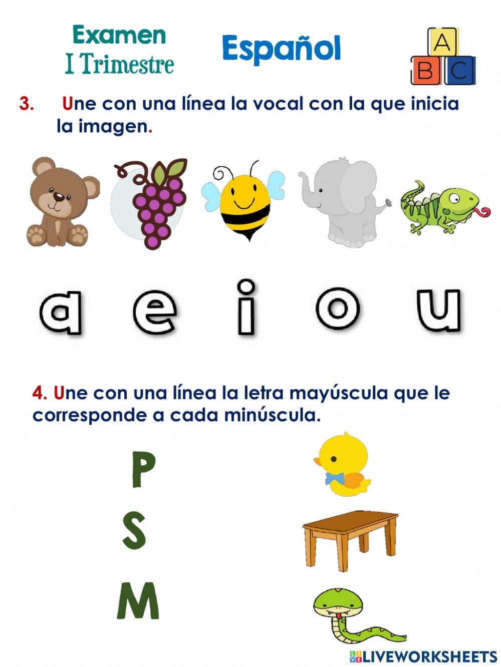 Examen adecuación a