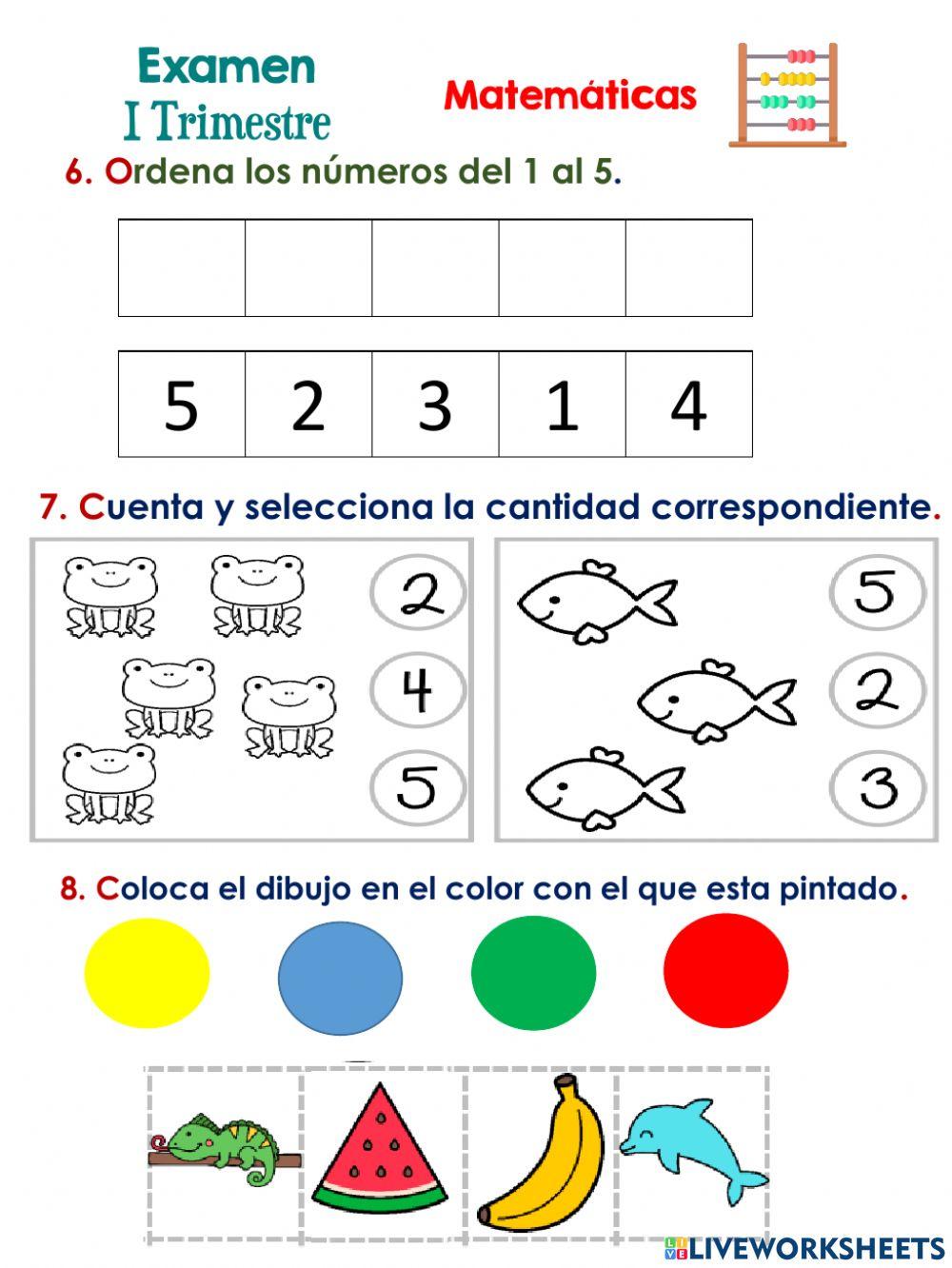 Examen adecuación a