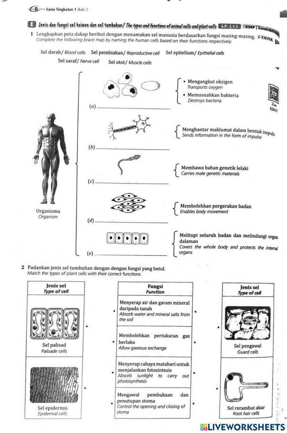 Science Chapter 2