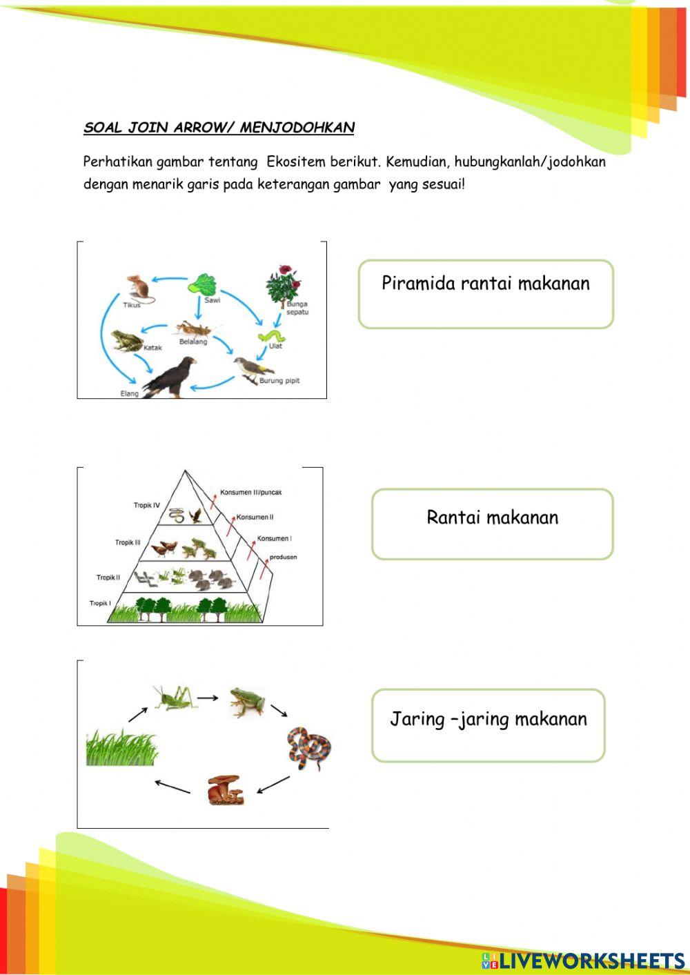 Lkpd interaktif ipa sd