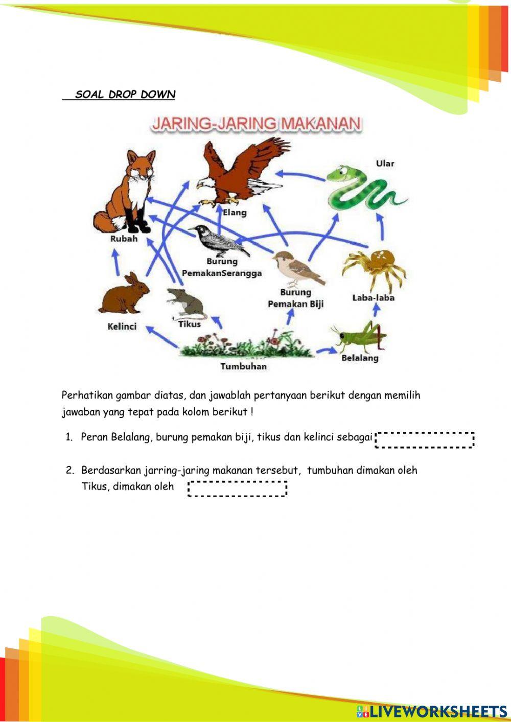 Lkpd interaktif ipa sd