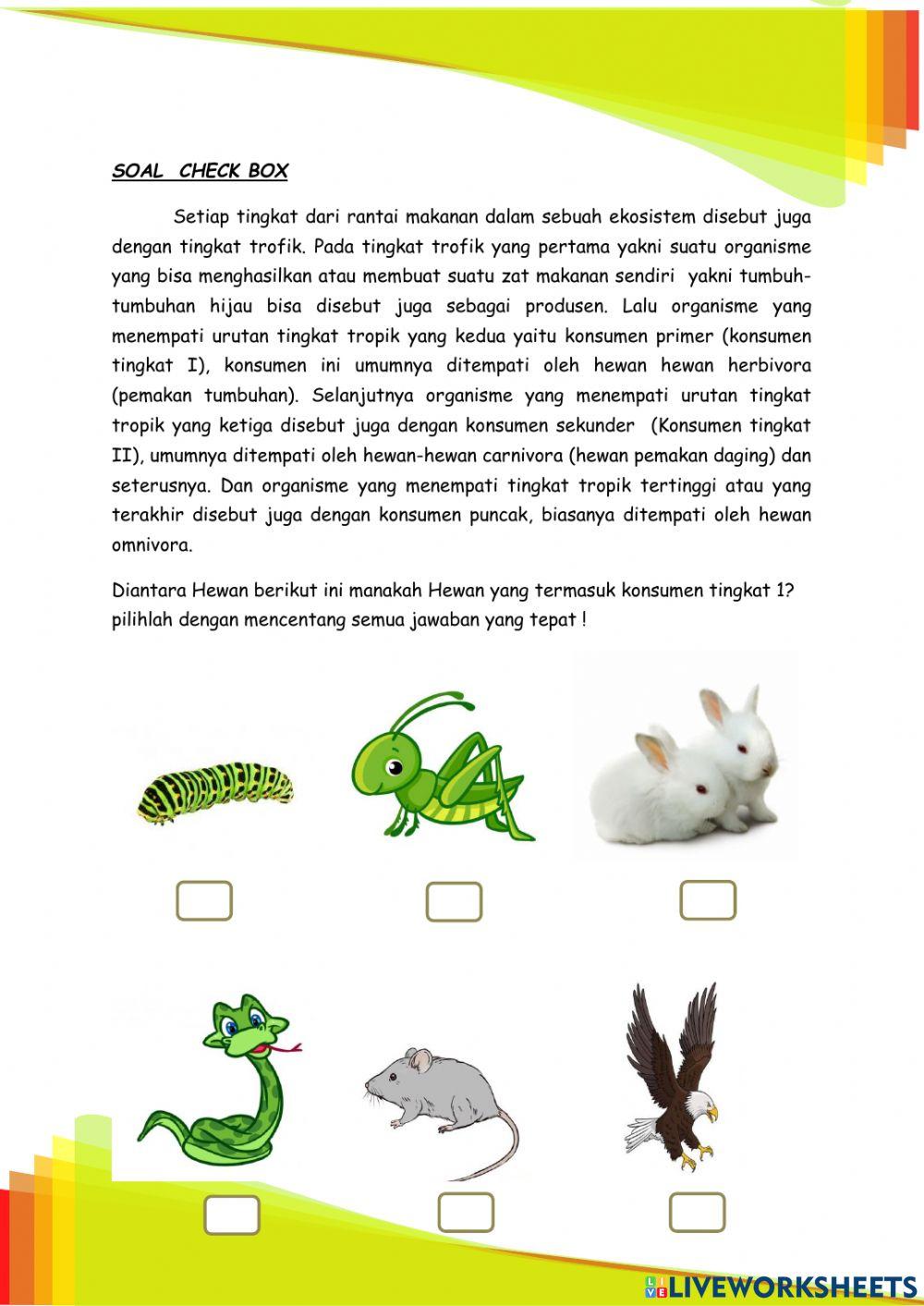 Lkpd interaktif ipa sd