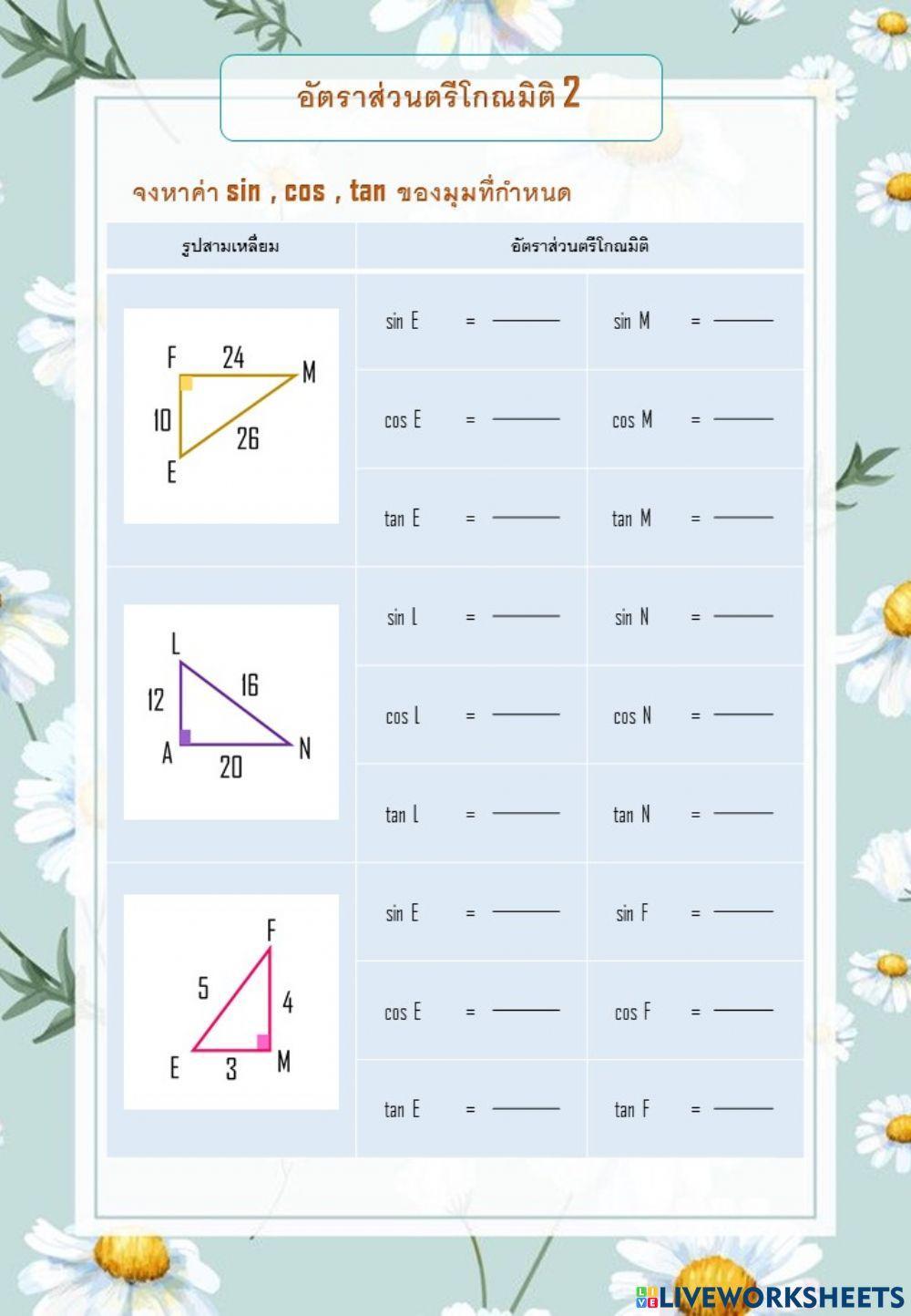 ตรีโกณมิติ2