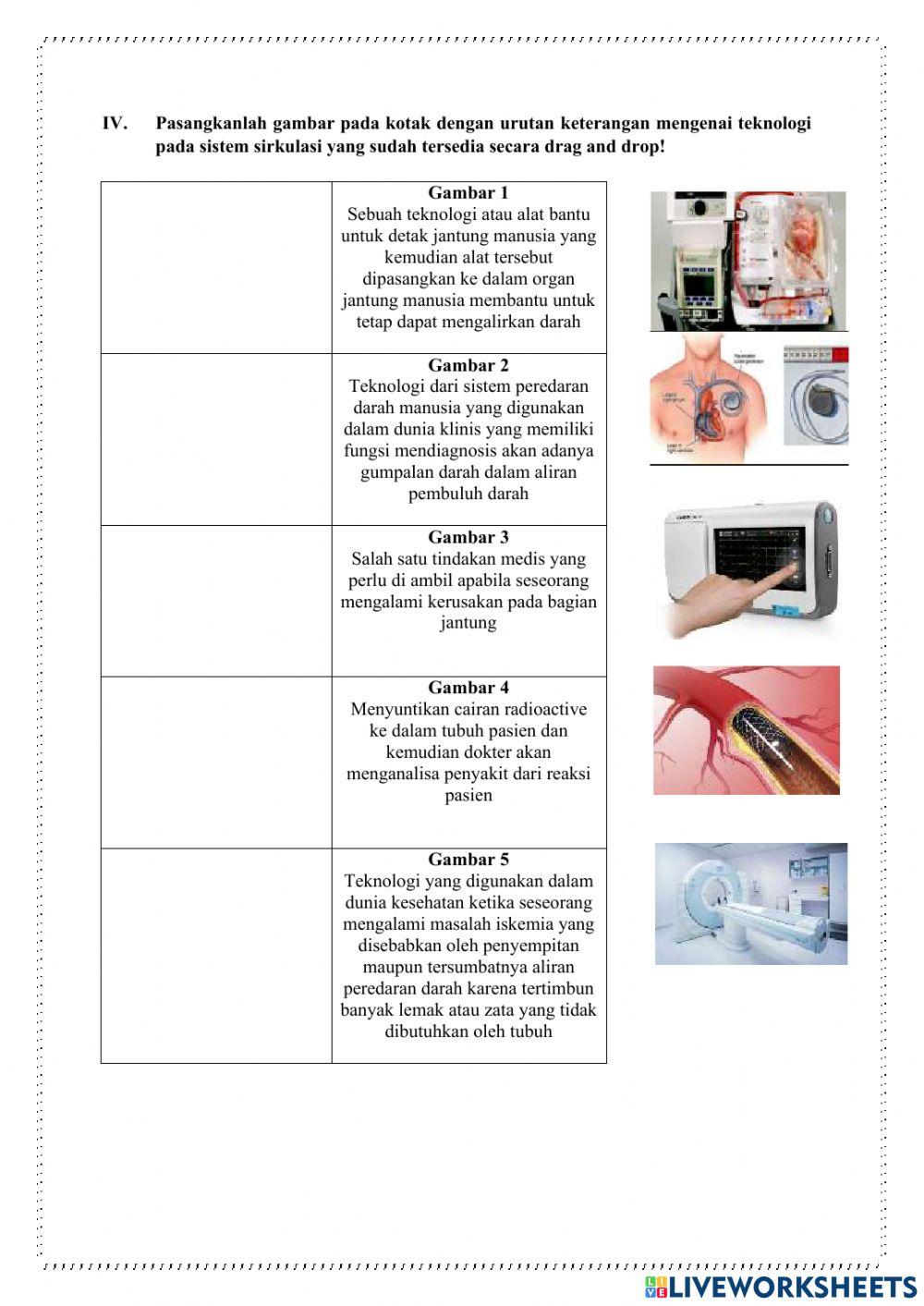 Kelainan Pada sistem Sirkulasi