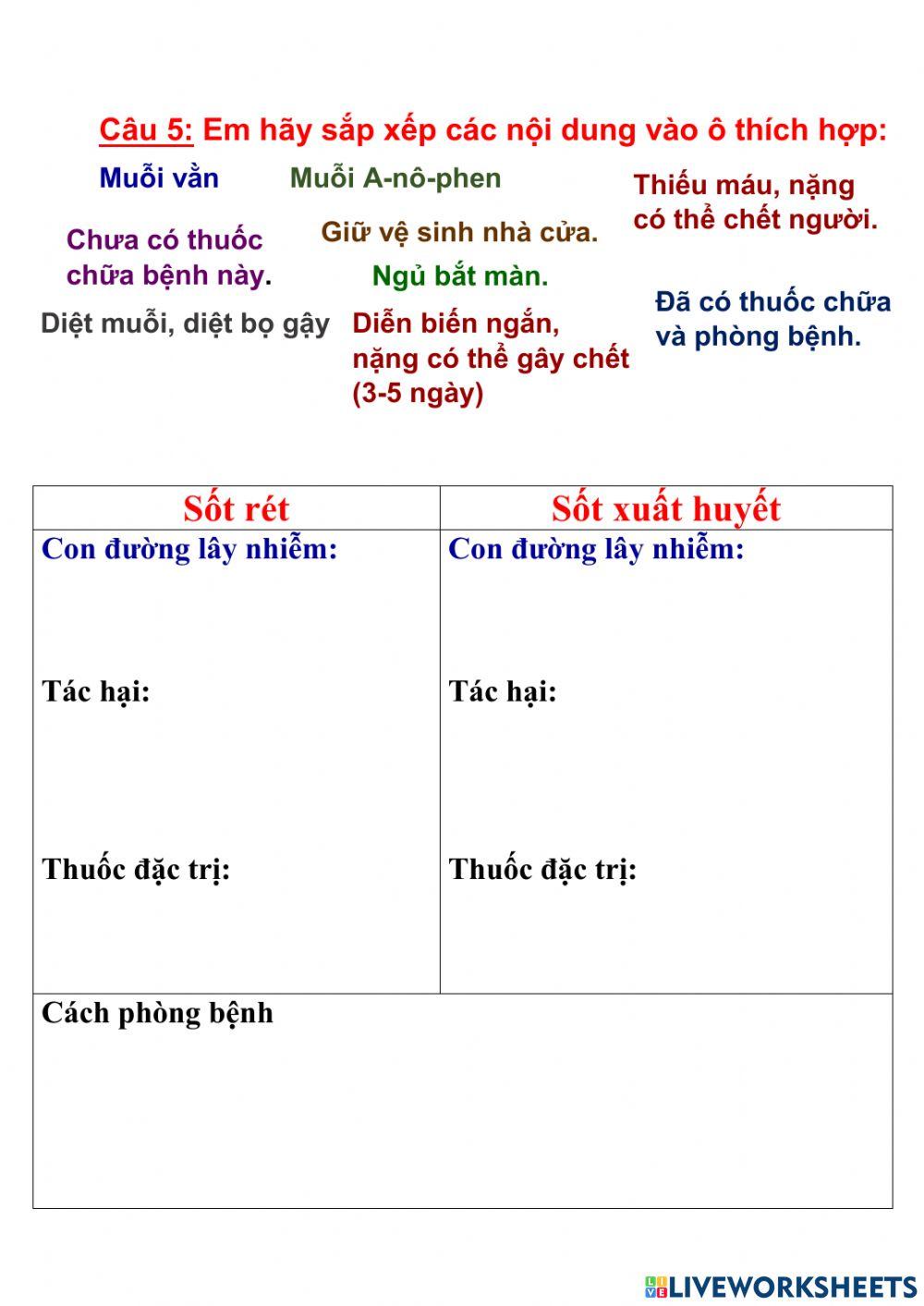 Phòng chống các bệnh về muỗi