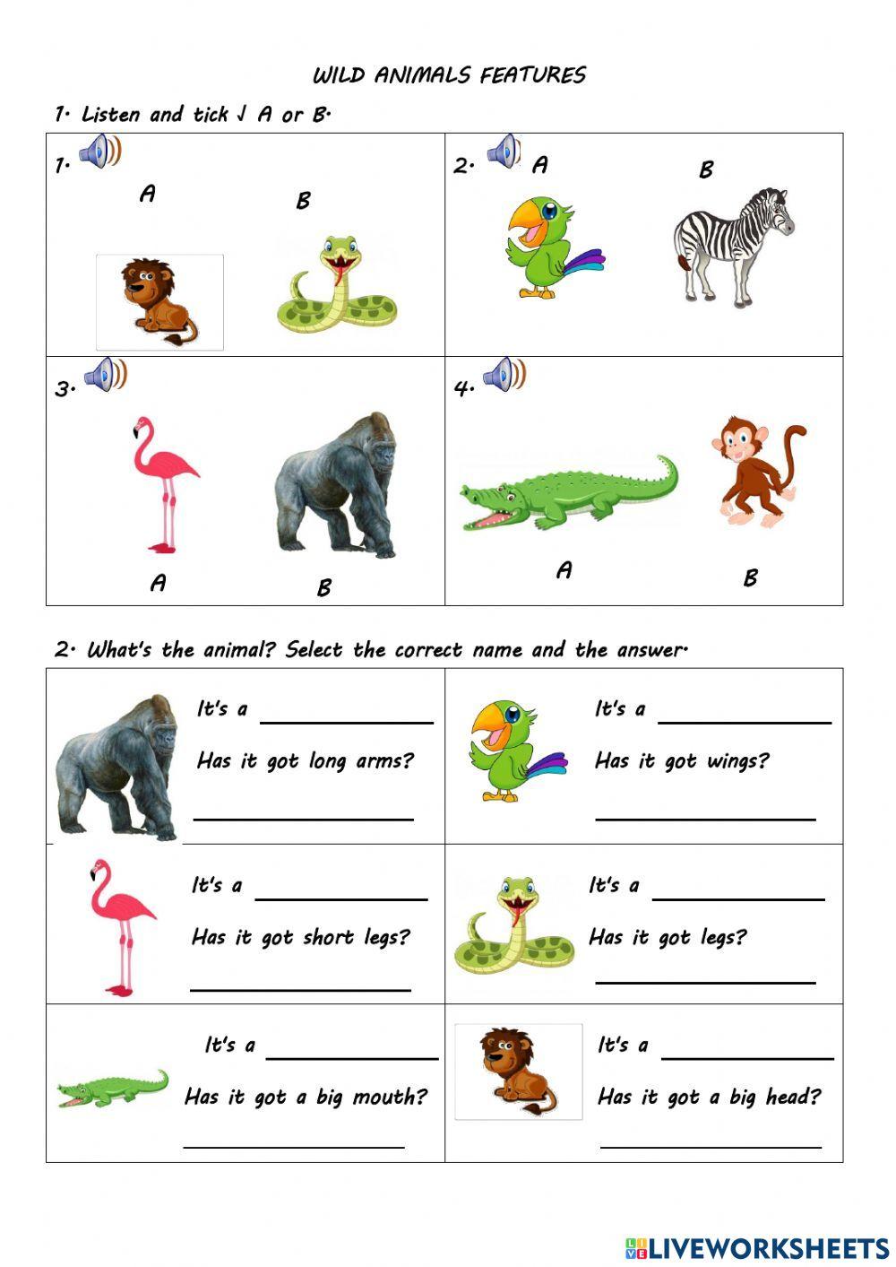 Wild Animals 1626525 Umi Faridha Live Worksheets Wild Animals 1626525 Umi Faridha Live Worksheets