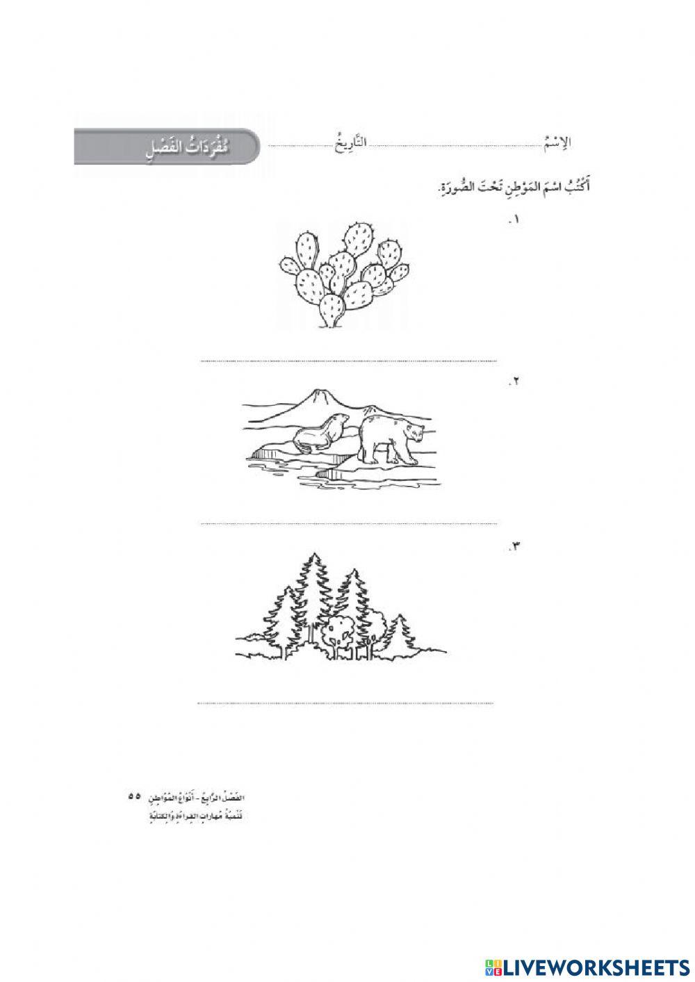 أنواع المواطن