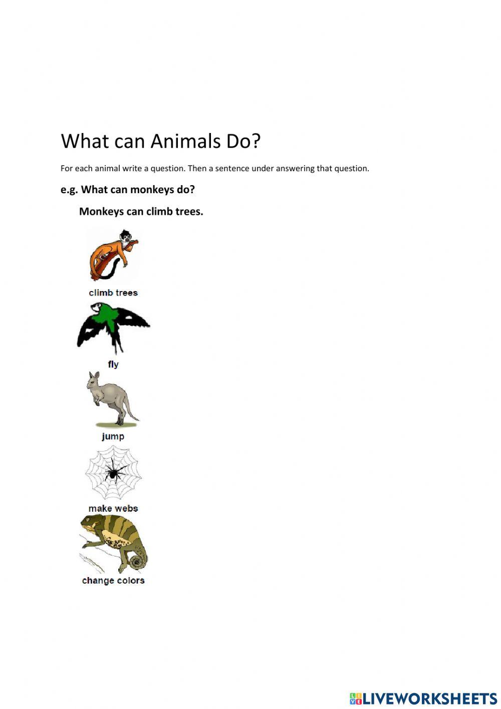 What Can Animals Do?