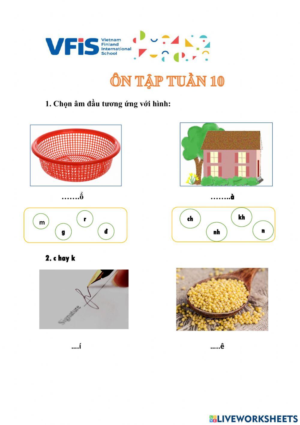 Ôn tập tuần 10