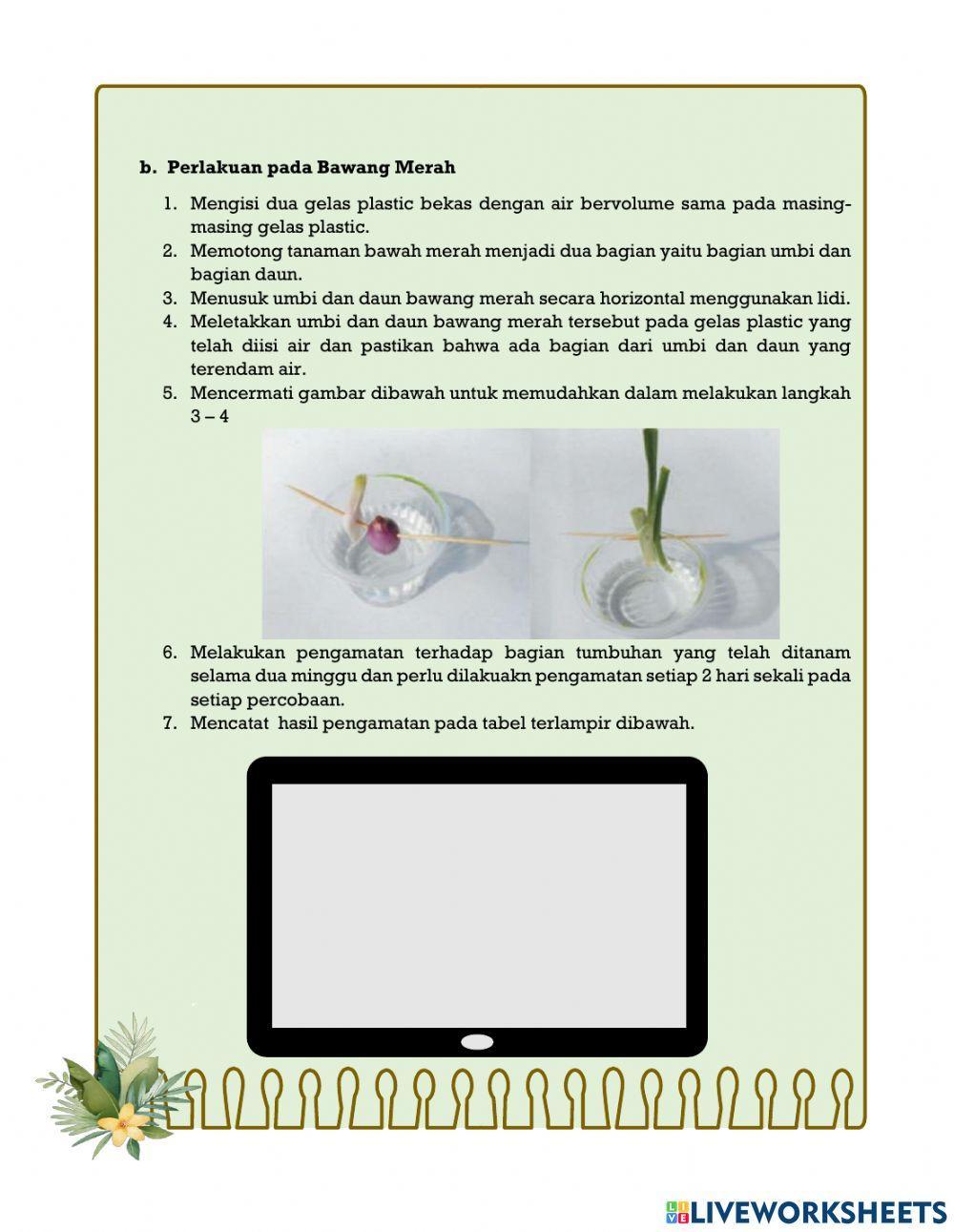 Petunjuk Praktikum Reproduksi Tumbuhan