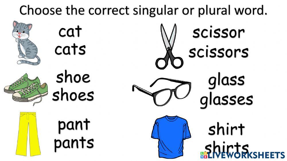 Plural-Only Nouns (Explanation & Examples)