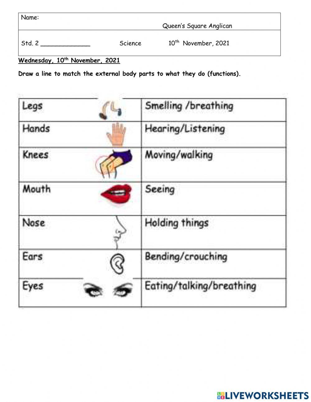 External Body Parts Function Matching Activity